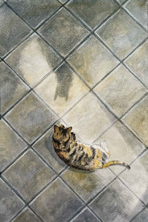 Watercolor and ink illustration of a cat on a tile floor looking at the shadow of another