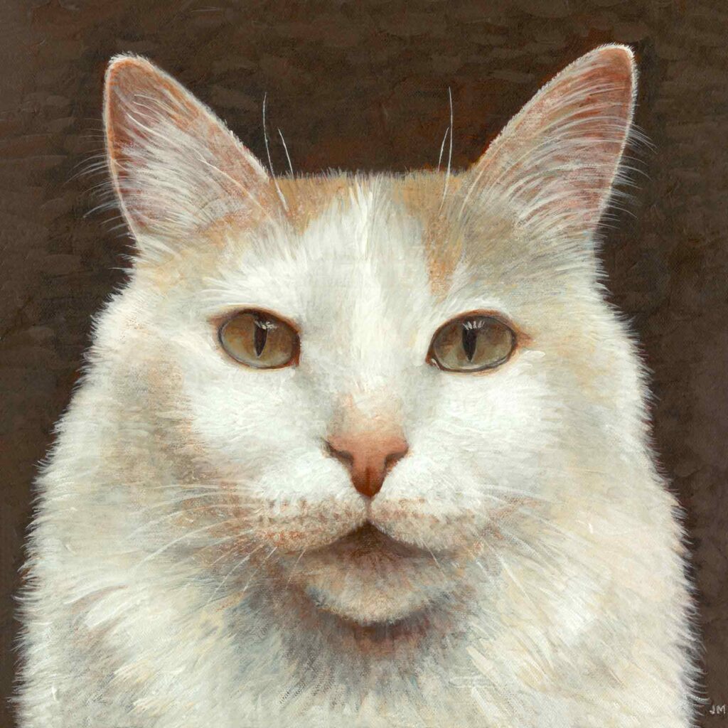 Portrait of TJ (cat)